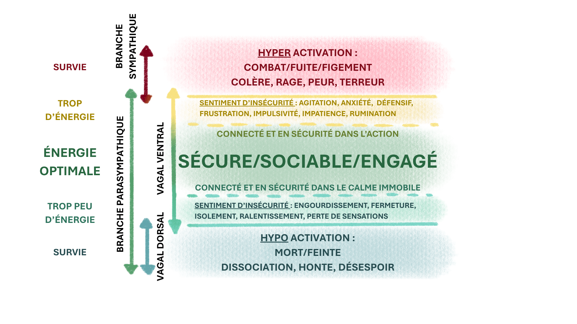 schéma de la fenêtre de tolérance